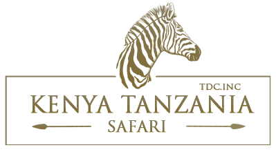 Kenya - Tanzania Safari