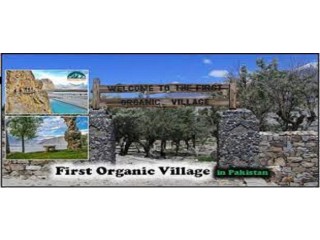 The First Organic Village Skardu | Reviews About Organic Village | Mediazoon Pakistan