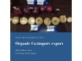 importing-and-exporting-organic-food-from-organic-co-small-0