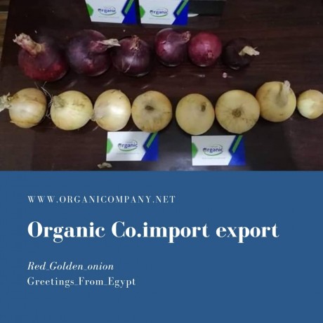 importing-and-exporting-organic-food-from-organic-co-big-0