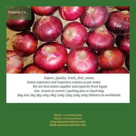 importing-and-exporting-organic-food-from-organic-co-big-2