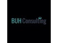 buh-consulting-small-0