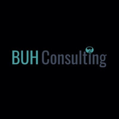 buh-consulting-big-0