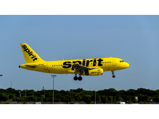 How do I connect with a live person at Spirit Airlines customer service?