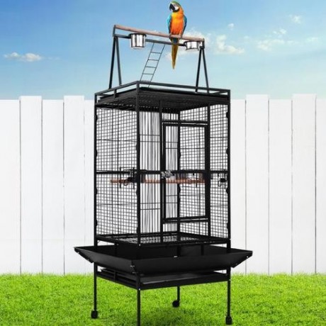 buy-small-and-large-birds-cage-online-from-easymart-big-0