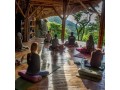 ayahuasca-retreats-australia-small-0