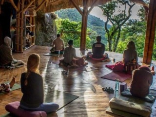 AYAHUASCA RETREATS AUSTRALIA