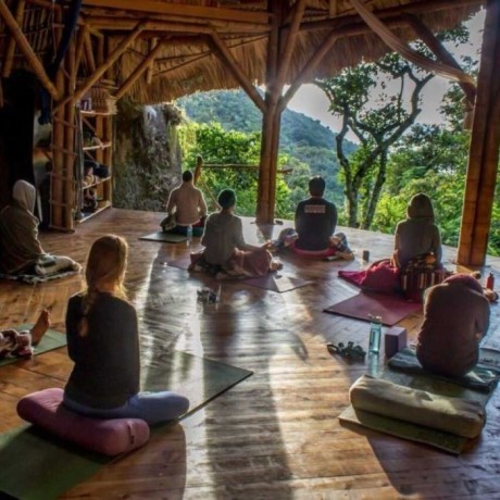 ayahuasca-retreats-australia-big-0