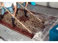 rug-cleaning-service-brisbane-small-0