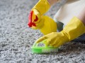 excellent-carpet-cleaning-brisbane-ezydry-small-0