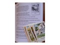 cypsy-tarot-reading-cards-desk-and-book-small-3