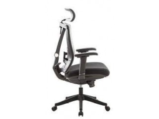 Explore Ergonomic Desk Chair in Canada