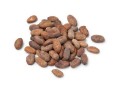 enregistrement-fda-exportateurs-de-cacao-small-0