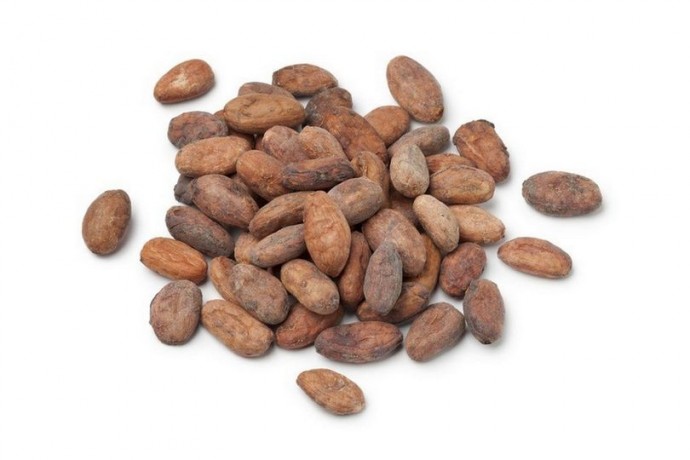 enregistrement-fda-exportateurs-de-cacao-big-0