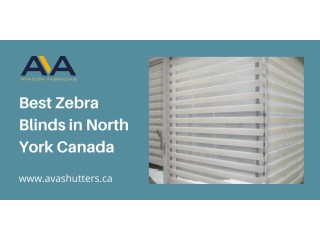 Best Zebra Blinds in North York Canada