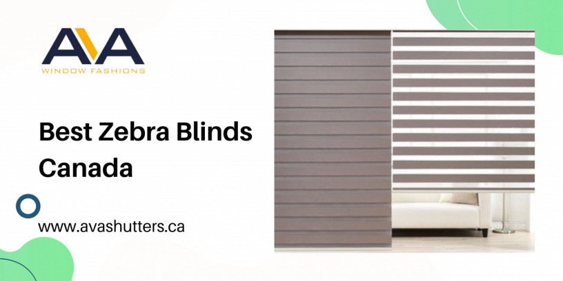 best-zebra-blinds-canada-big-0