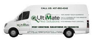 professional-pest-control-services-in-toronto-big-0