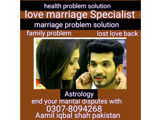 Love marriage Specialist Aamil