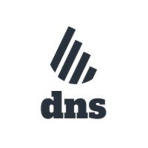 dns-tax-big-0