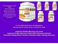 promotes-proper-immune-function-small-2