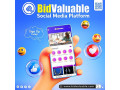 online-auctions-platform-bidvaluable-small-1