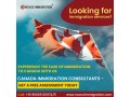 immigration-consultants-in-bangalore-small-0