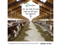 silage-supplier-in-punjab-small-0