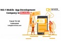 top-mobile-app-development-companies-in-mumbai-dxminds-small-0