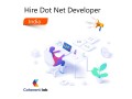 hire-dedicated-dot-net-developers-in-2021-small-0