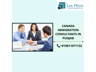 Hire Top Immigration Consultant in Punjab for a flawless procedure- Lexmove
