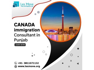 Hire Best Canada Immigration Consultant In Punjab-Lexmove