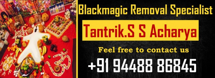 famous-astrologer-in-karnataka-top-palm-reading-in-bangalore-big-0