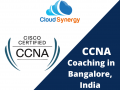 best-ccna-training-institute-in-bangalore-cloudsynergy-small-0