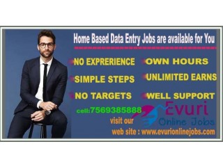Guaranteed Income Data Entry with Bonus Free Jobs Pack Full Time / Part Time Home Based Data Entry Jobs