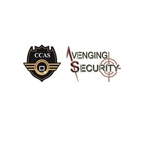 wordpress-development-company-avenging-security-big-0