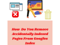 remove-accidentally-indexed-pages-from-googles-index-small-0