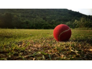 Download Fantasy Cricket App- Just Khelo