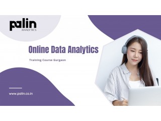 Online Data Analytics Training Course Gurgaon - Palin Analytics