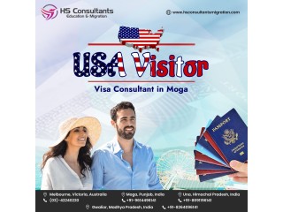 USA Visitor Visa Consultant in Moga