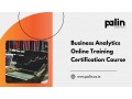 business-analytics-online-training-certification-course-palin-analytics-small-0