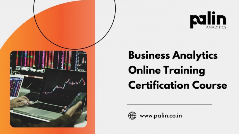 business-analytics-online-training-certification-course-palin-analytics-big-0