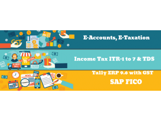 Accounting Course in Pandav Nagar,  Delhi, SLA BAT Classes, SAP Finance, Tally, GST Training Certification,