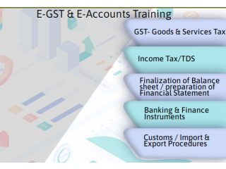 GST Course in Noida, SLA Taxation Classes, Ghaziabad, Tally, SAP Finance Certification, BAT Training,