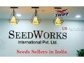 seeds-sellers-in-india-small-0