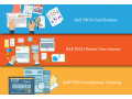 sap-fico-course-in-delhi-shahdara-sla-sap-institute-sap-hana-finance-gst-training-certification-small-0