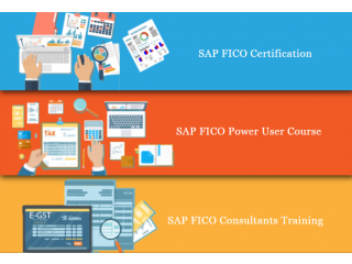 SAP FICO Course in Delhi, Shahdara, SLA , SAP Institute, SAP Hana Finance, GST Training Certification,