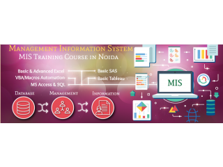 MIS Training in Delhi, Shahdara, SLA Excel Learning, Power BI, Python, Tableau Certification Course,