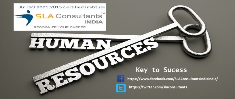 hr-certification-in-delhi-sla-human-resource-institute-paschim-vihar-sap-payroll-hr-course-big-0