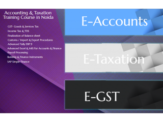 Best Accounting Training in Noida, Mayur Vihar, SLA Taxation Institute, Tally, GST, Income Tax Certification Course,