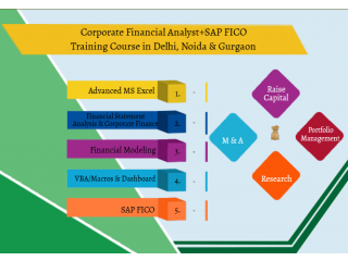 Financial Analyst Institute in Delhi, Business Financial Analytics Classes, SLA Institute for Finance Learning,